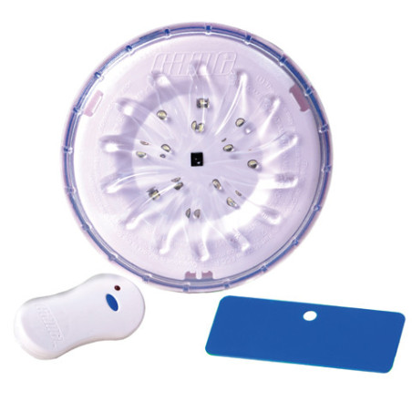 Pool Wall Light