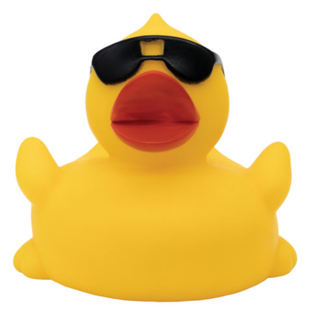 Sunny The Duck