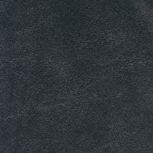 Charcoal